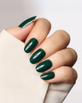 Evergreen Envy