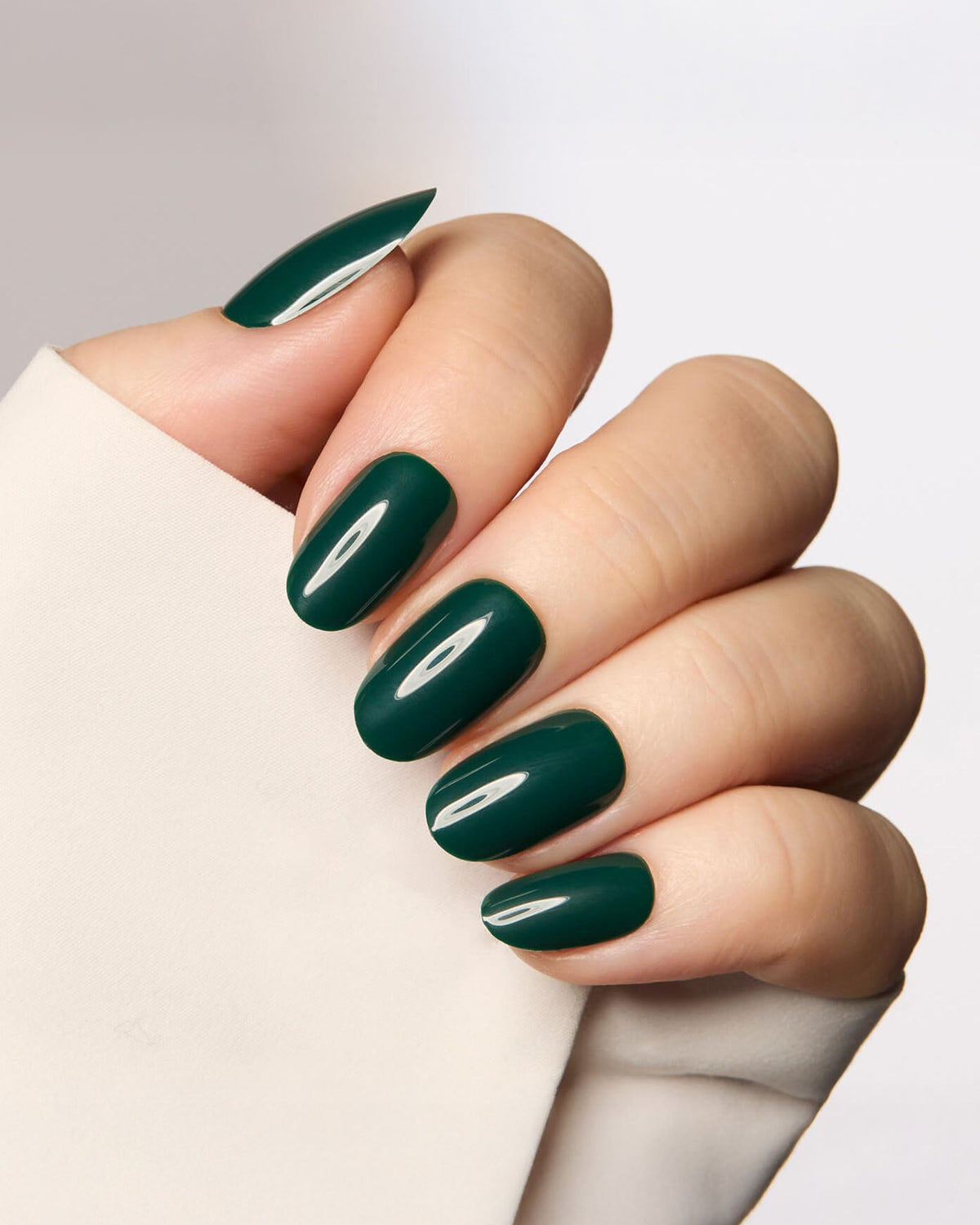 Evergreen Envy