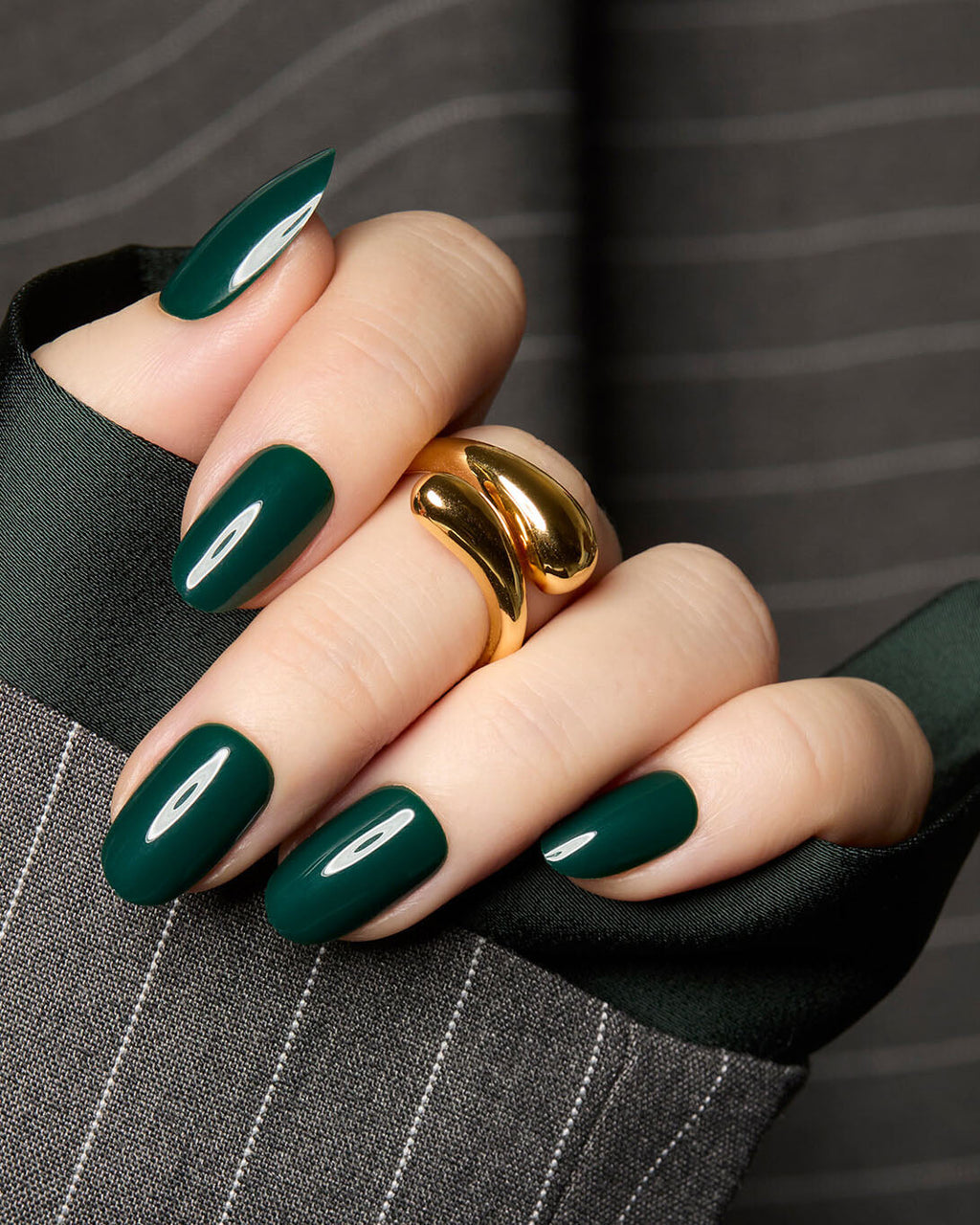 Evergreen Envy