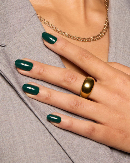 Evergreen Envy